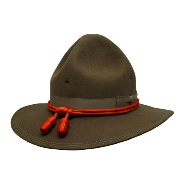 campaign hat case