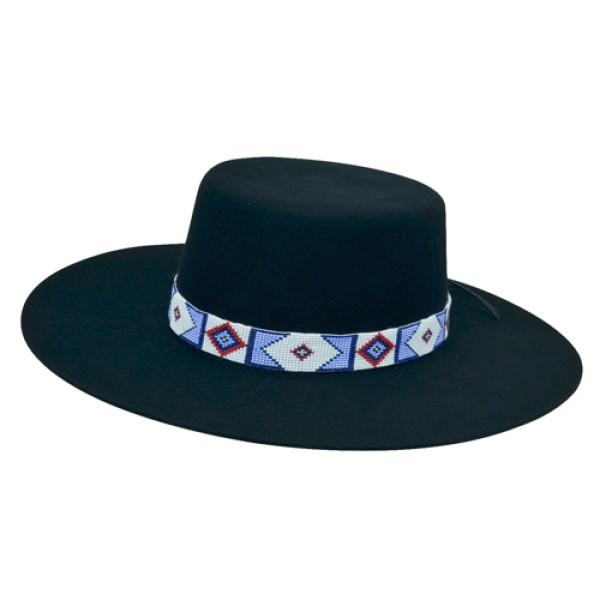 black gaucho hat