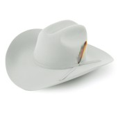 Style: 167 Reagan 7X Hat