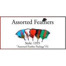 Style: 1355 Assorted Hat Feather Package (5)