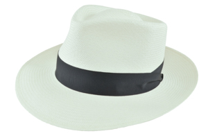 Style: 124 Panama Teardrop Hat