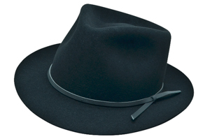 Style: 249 The Newton Fedora Hat
