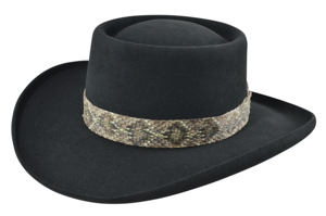 ronnie van zant style hat