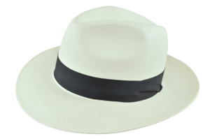 Style: 130 Panama Center Dent Hat